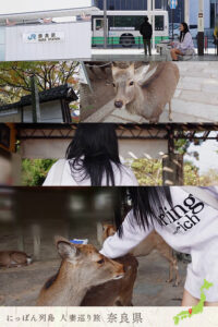 【mywife691】美々香さん